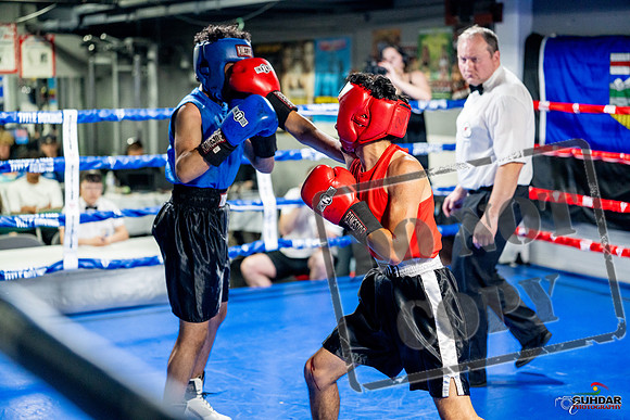 Cougar boxing June 7th 2025-0247