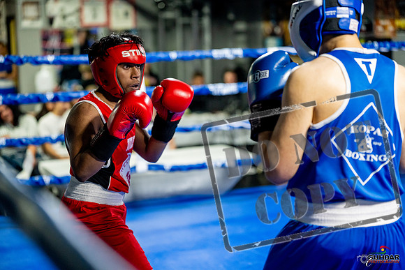 Cougar boxing June 7th 2025-0320