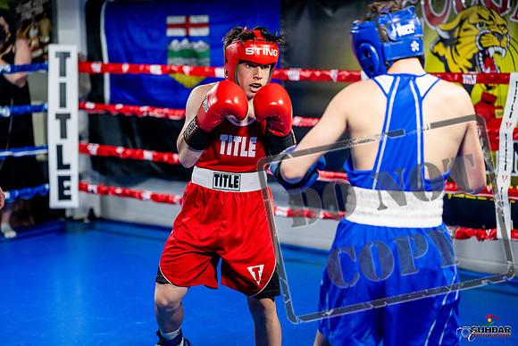 Cougar boxing June 7th 2025-0540