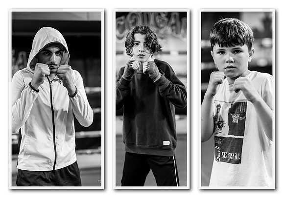 Cougar Boxing