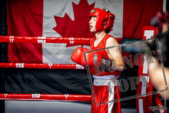 Cougar boxing June 7th 2025-0936
