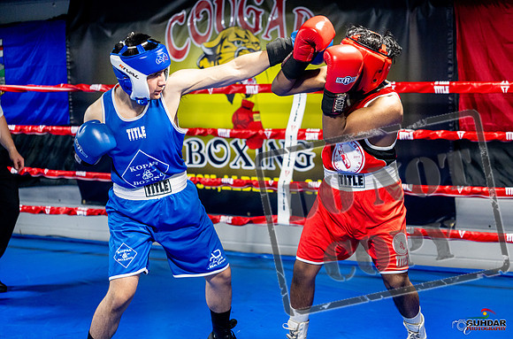 Cougar boxing June 7th 2025-0295