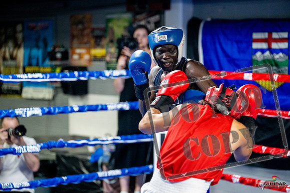Cougar boxing June 7th 2025-0421