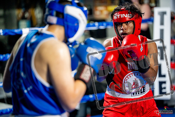 Cougar boxing June 7th 2025-0345