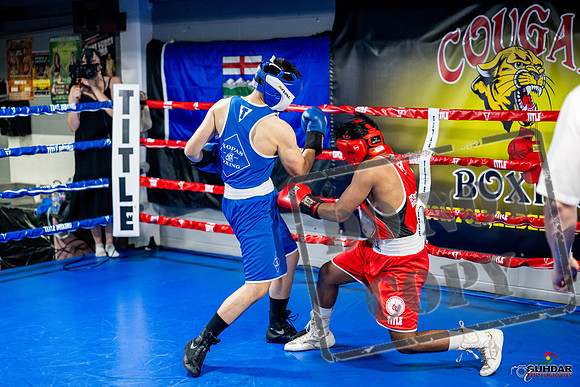 Cougar boxing June 7th 2025-0306