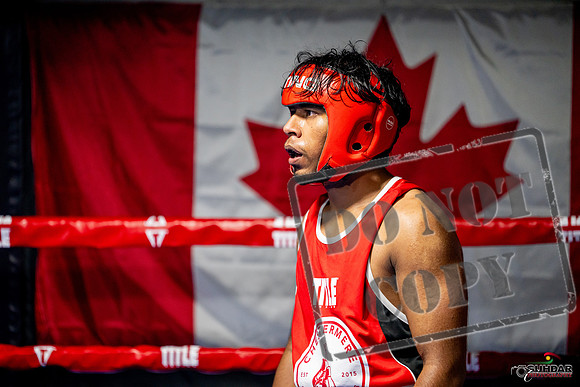 Cougar boxing June 7th 2025-0338