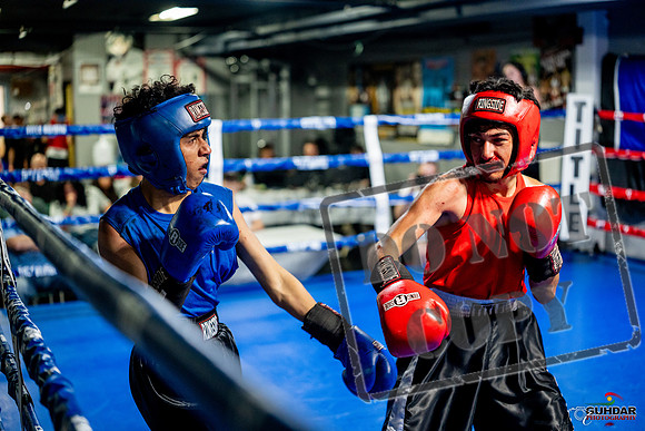 Cougar boxing June 7th 2025-0255