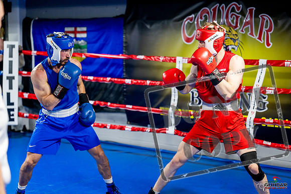 Cougar boxing June 7th 2025-0377