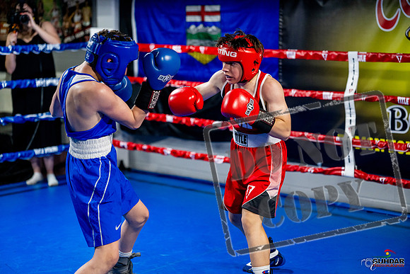 Cougar boxing June 7th 2025-0561