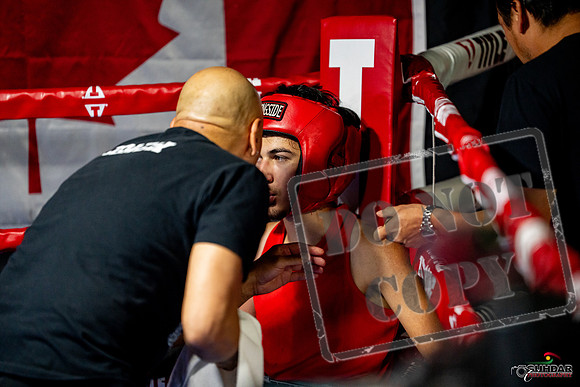 Cougar boxing June 7th 2025-0211