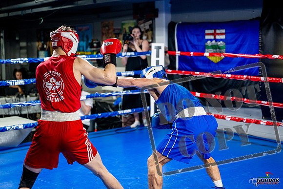Cougar boxing June 7th 2025-0375