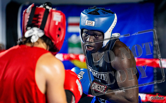 Cougar boxing June 7th 2025-0491
