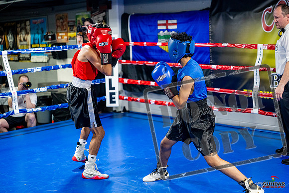 Cougar boxing June 7th 2025-0201