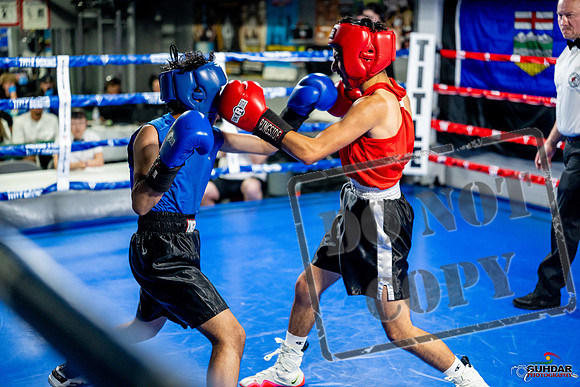 Cougar boxing June 7th 2025-0206
