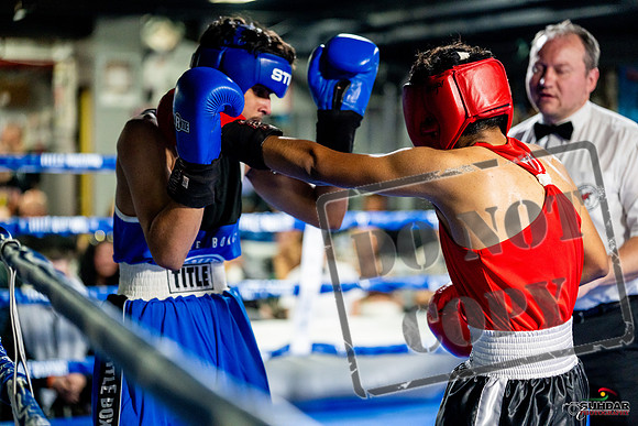 Cougar boxing June 7th 2025-0588