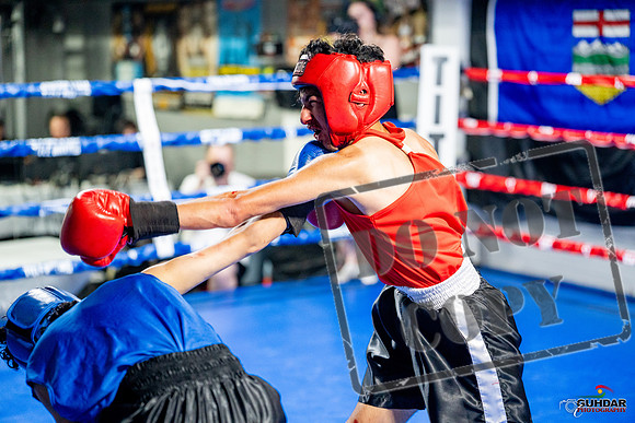 Cougar boxing June 7th 2025-0252