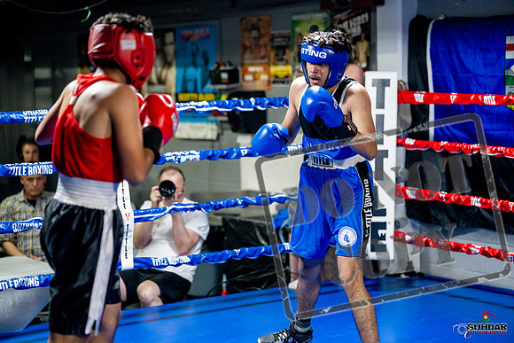 Cougar boxing June 7th 2025-0594