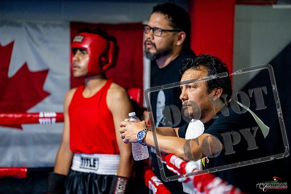 Cougar boxing June 7th 2025-0571