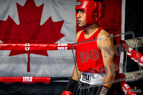 Cougar boxing June 7th 2025-0579