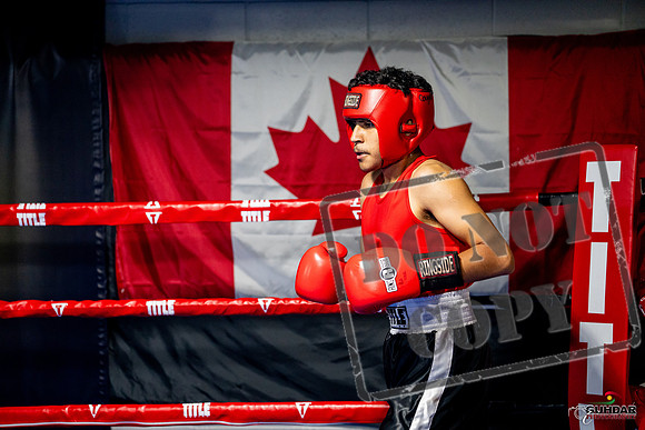 Cougar boxing June 7th 2025-0603