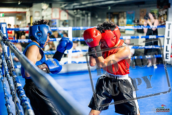 Cougar boxing June 7th 2025-0256