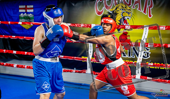 Cougar boxing June 7th 2025-0341