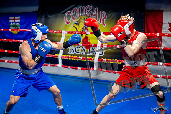 Cougar boxing June 7th 2025-0376