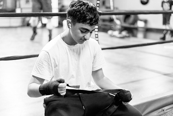 Cougar boxing-0003