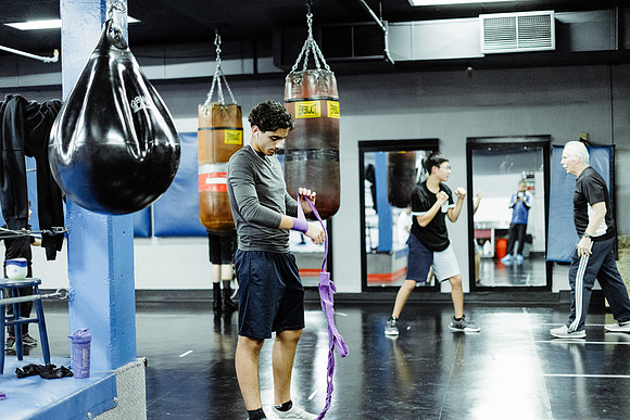 Cougar boxing-0004