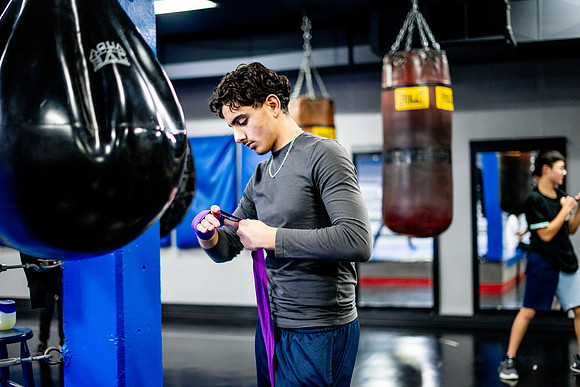 Cougar boxing-0006