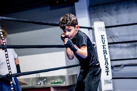 Cougar boxing-0014