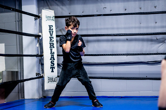 Cougar boxing-0019