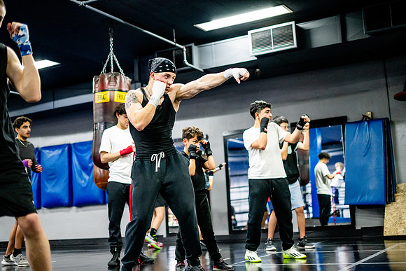 Cougar boxing-0026