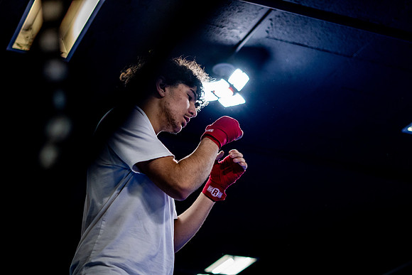 Cougar boxing-0034
