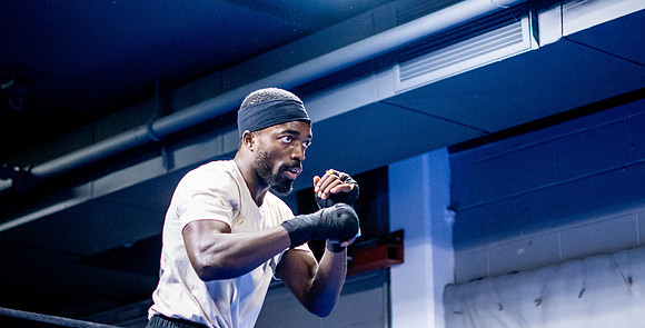 Cougar boxing-0035