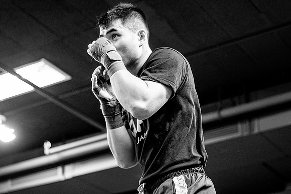 Cougar boxing-0039