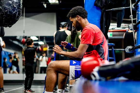 Cougar boxing-0041