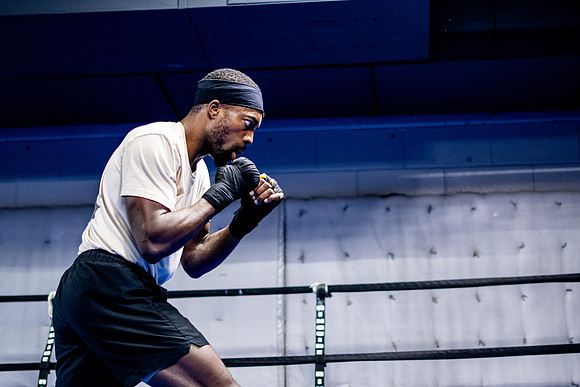 Cougar boxing-0042