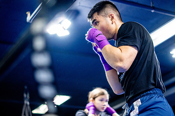 Cougar boxing-0044