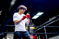 Cougar Boxing 2023
