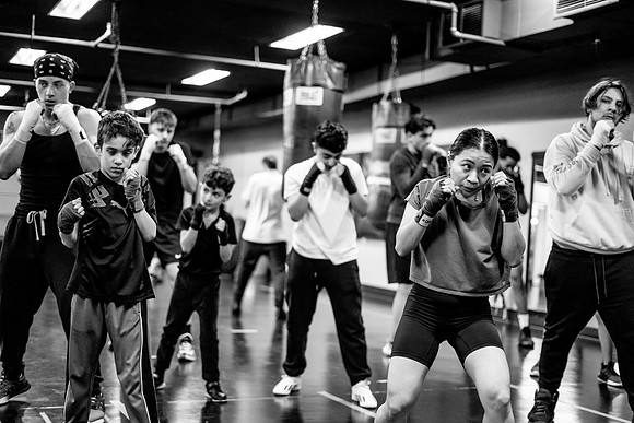Cougar boxing-0059