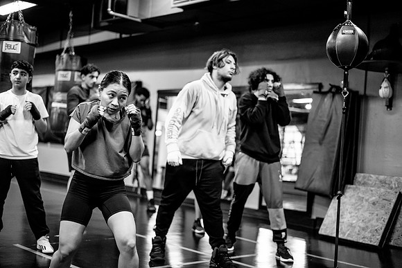 Cougar boxing-0060