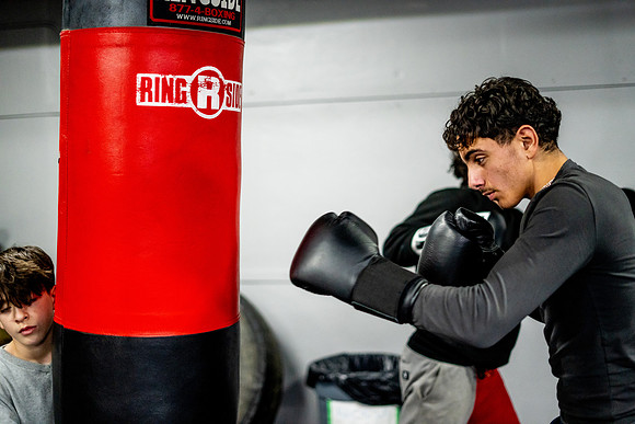 Cougar boxing-0067