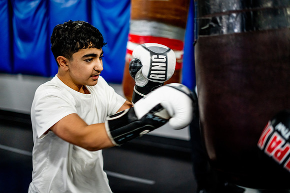 Cougar boxing-0072