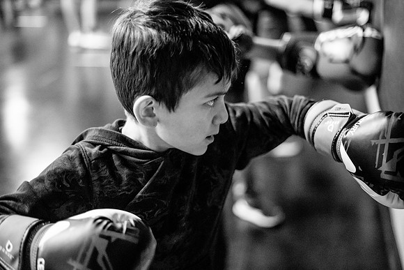 Cougar boxing-0083