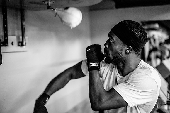 Cougar boxing-0086