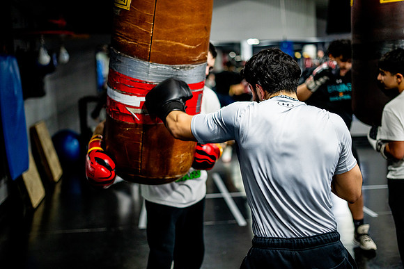 Cougar boxing-0092