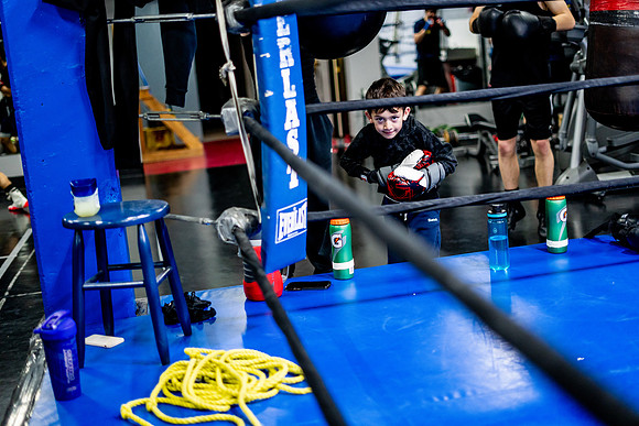 Cougar boxing-0096