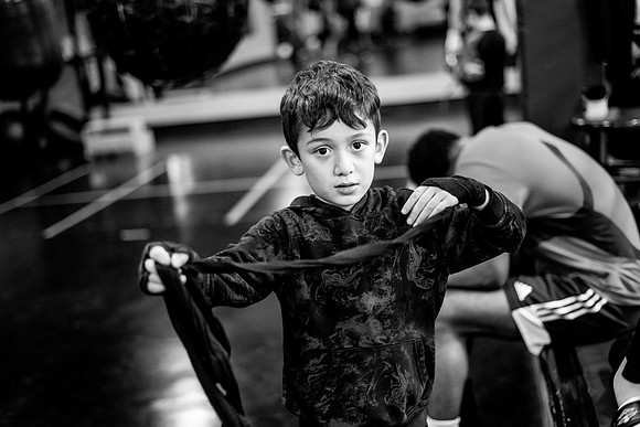 Cougar boxing-0101