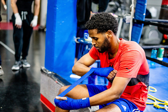 Cougar boxing-0104